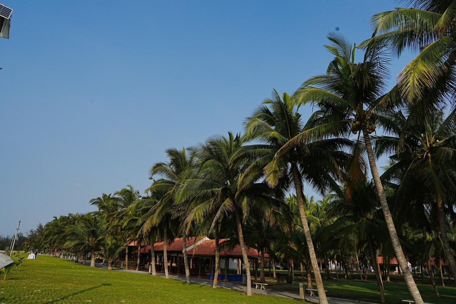 Dat Lanh Beach Resort Ла Ги Екстериор снимка